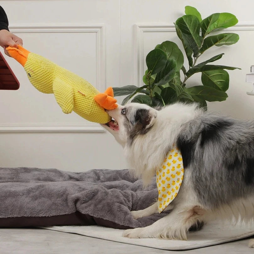 Indestructible Calming Duck
