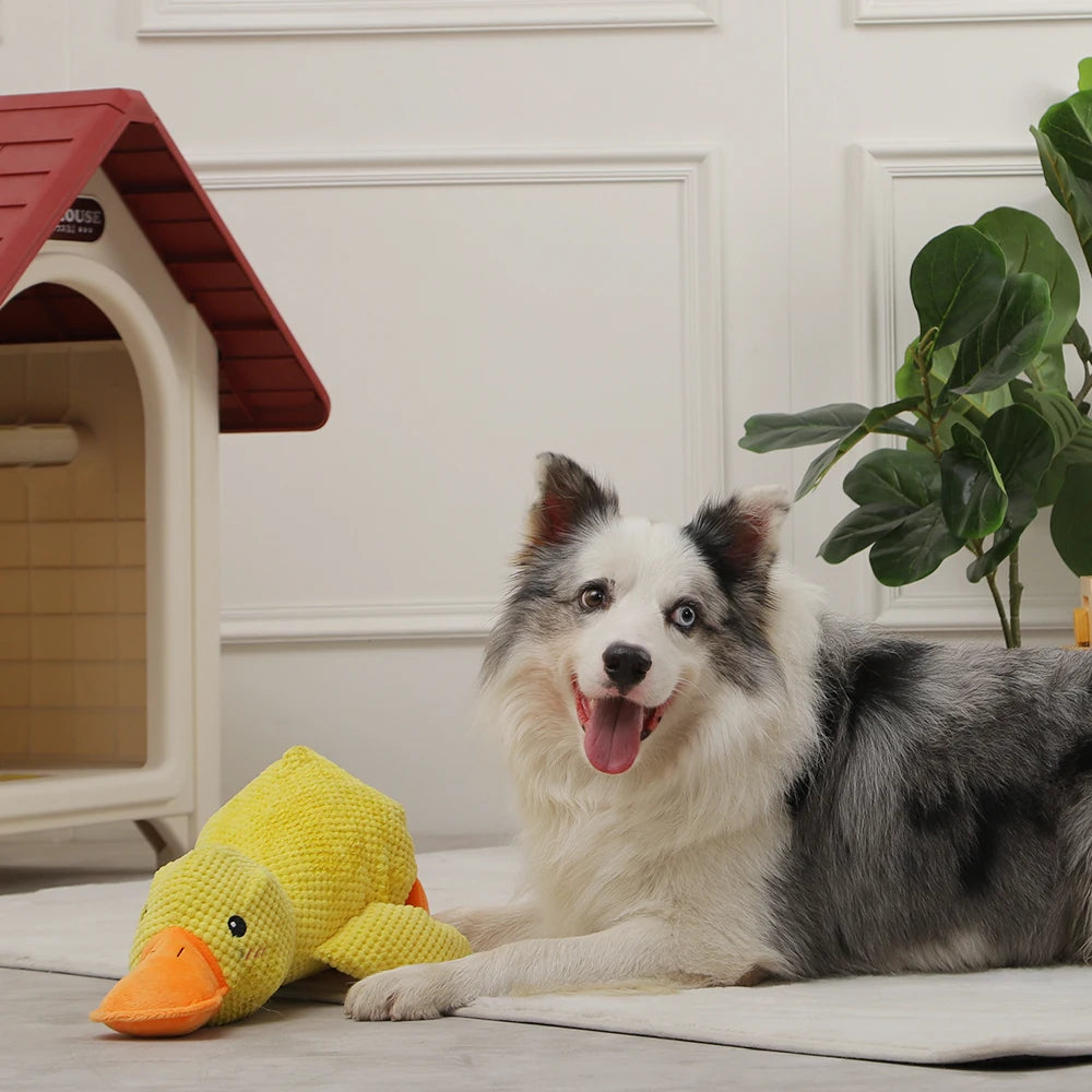 Indestructible Calming Duck
