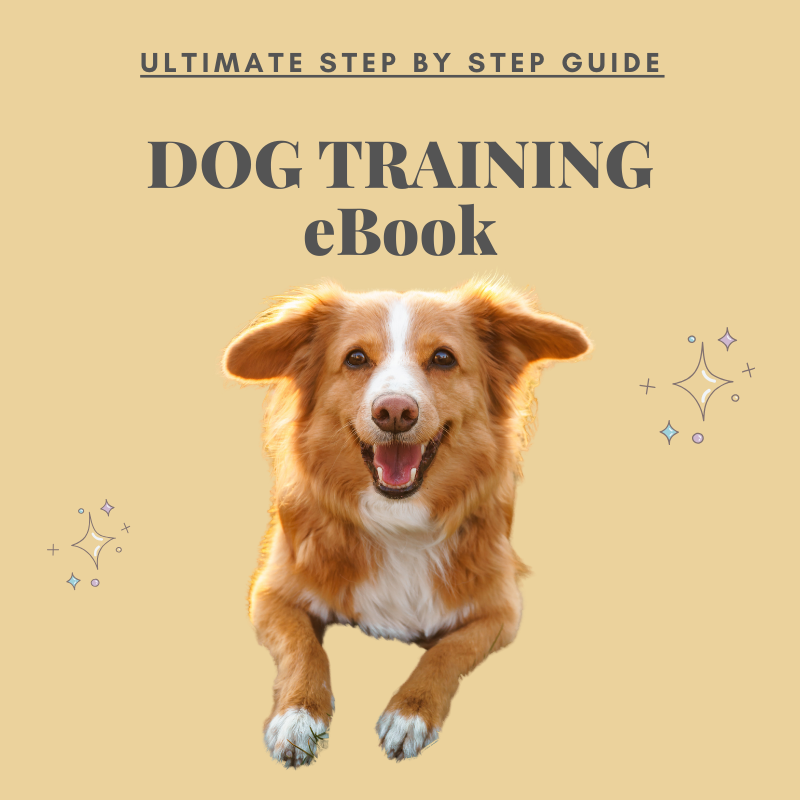 🎁 Dog Training eBook
