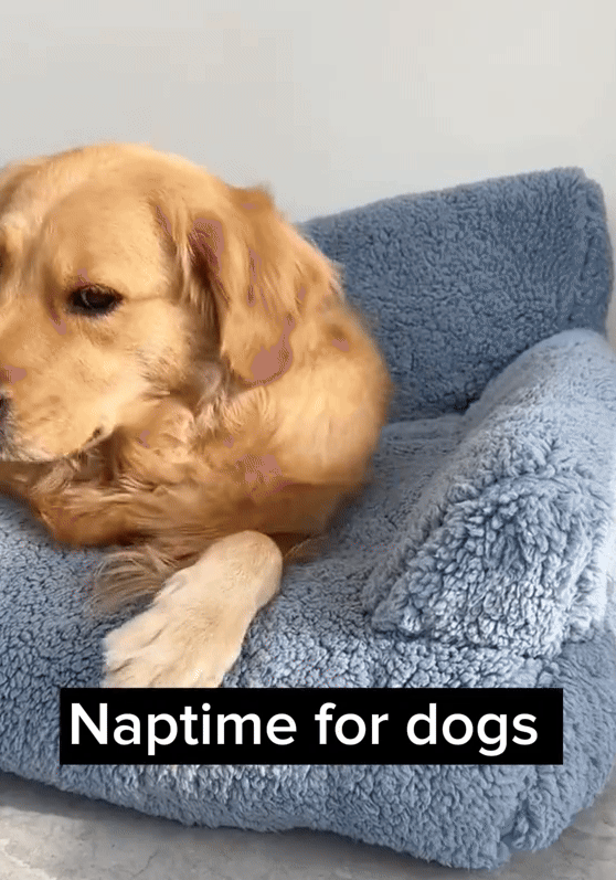 A kép neve Alternatív kép